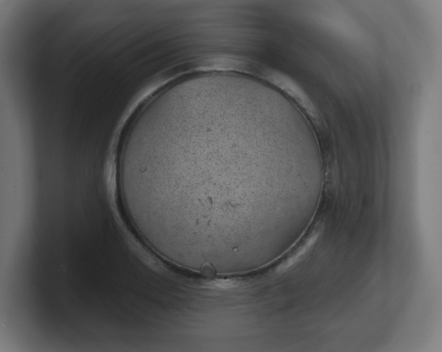 X0000101651130200807171248