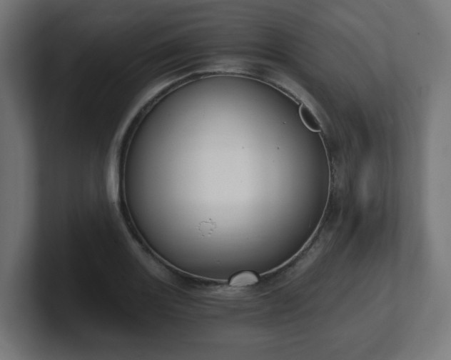 X0000101651131200807171248