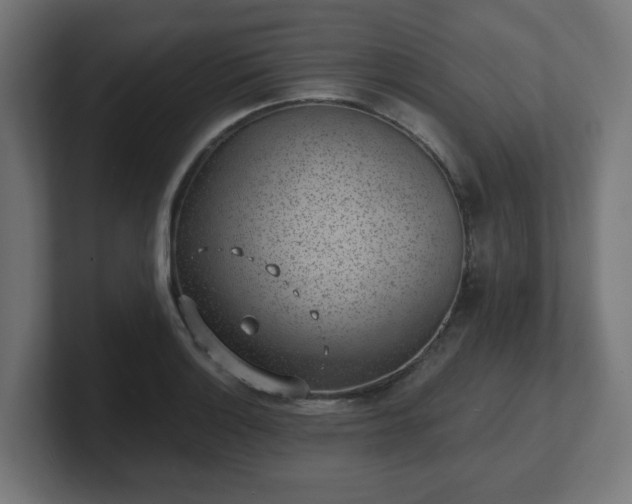 X0000101651132200807171248