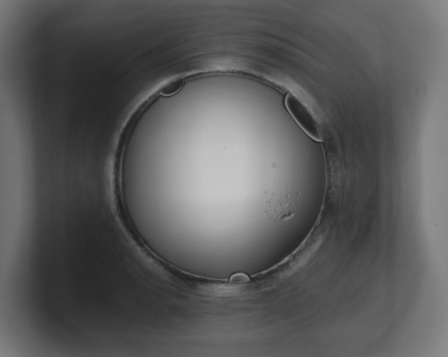 X0000101651134200807171248