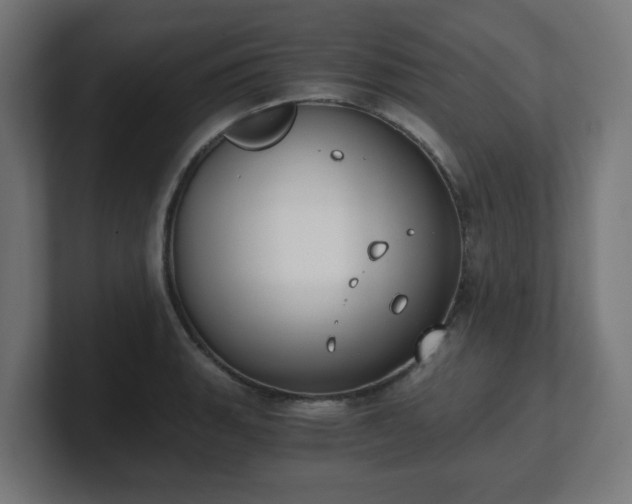 X0000101651135200807171248