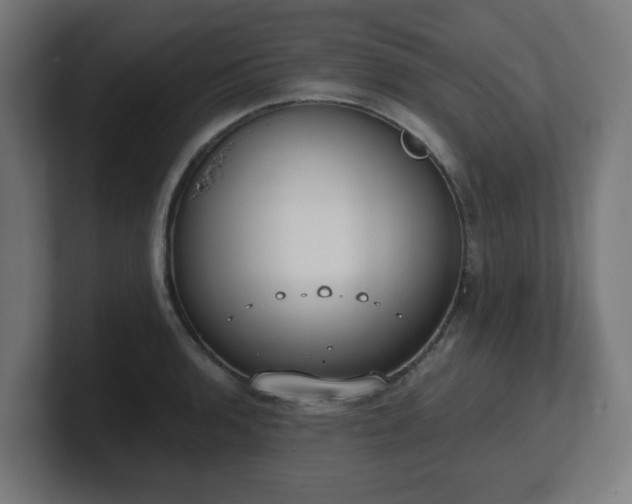 X0000101651136200807171248