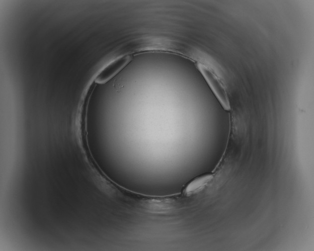 X0000101651138200807171248