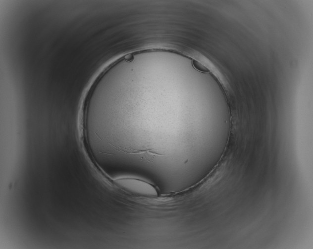 X0000101651140200807171248