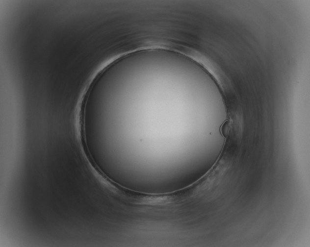 X0000101651143200807171248