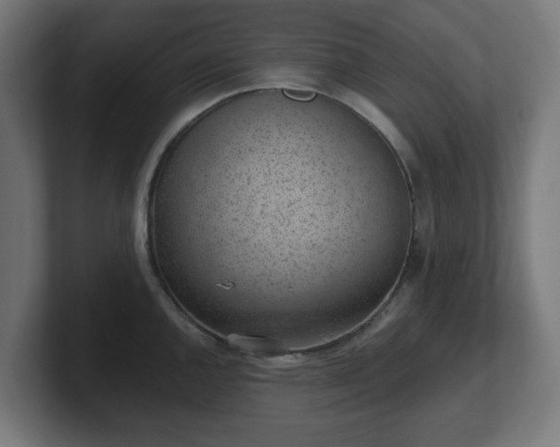 X0000101651144200807171248