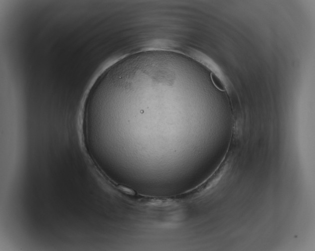 X0000101651146200807171248