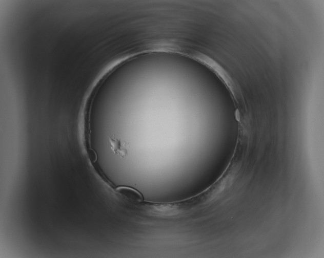 X0000101651147200807171248