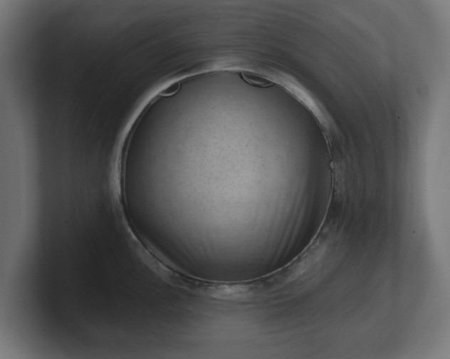 X0000101651148200807171248