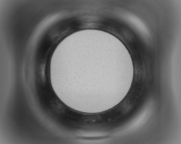 X0000101651150200807171248