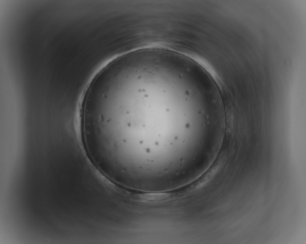 X0000101651151200807171248