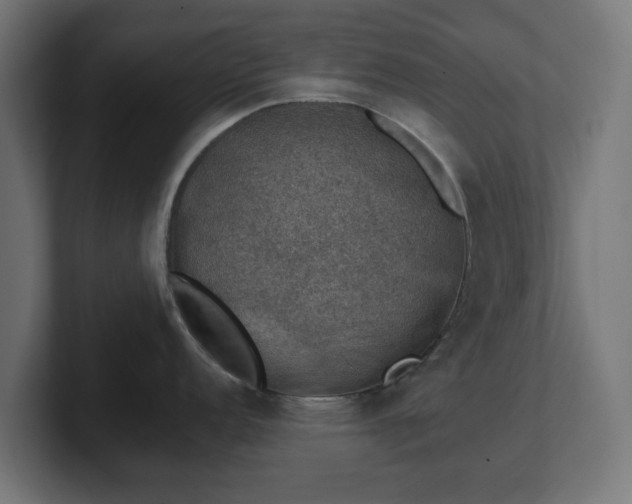 X0000101651152200807171248