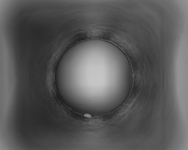 X0000101651153200807171247