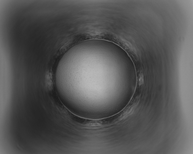 X0000101651156200807171247