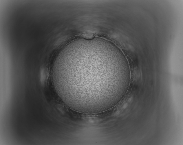 X0000101651157200807171247