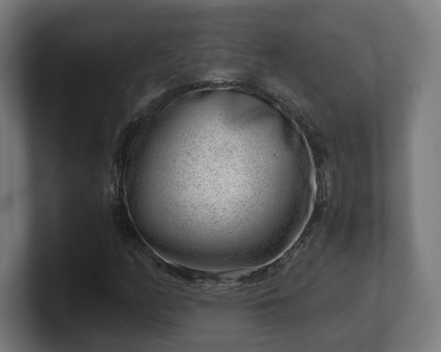 X0000101651158200807171247