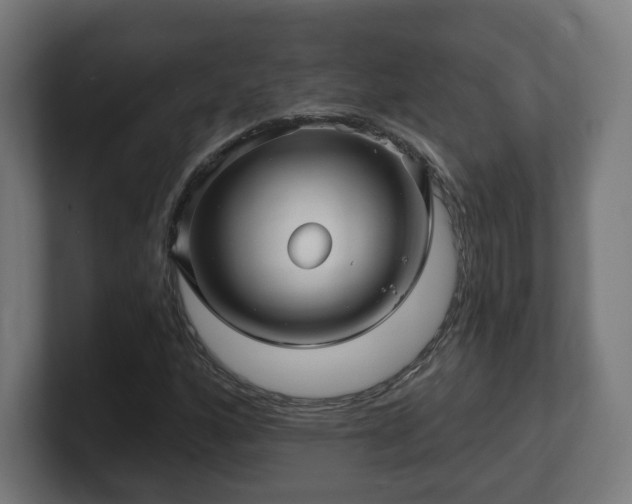 X0000101651160200807171247