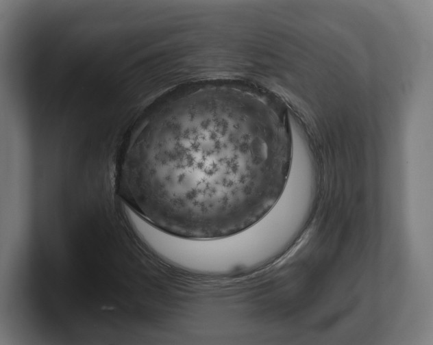 X0000101651161200807171247