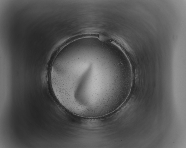 X0000101651164200807171247