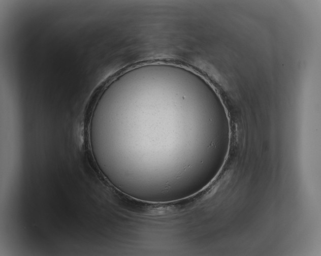 X0000101651165200807171247