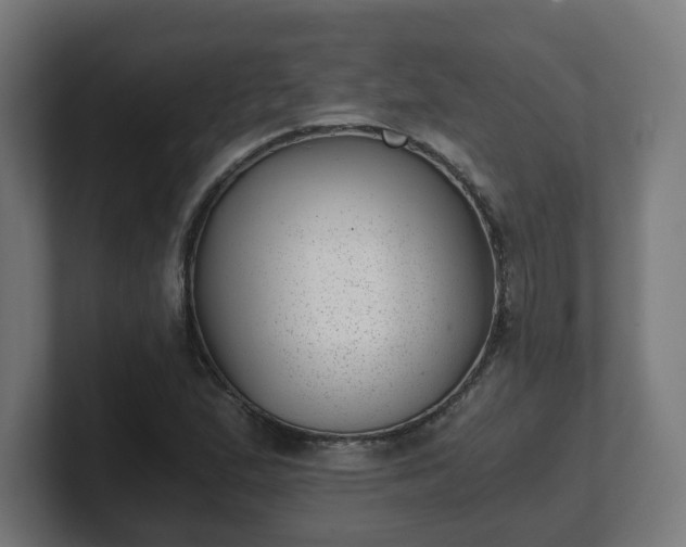 X0000101651167200807171247