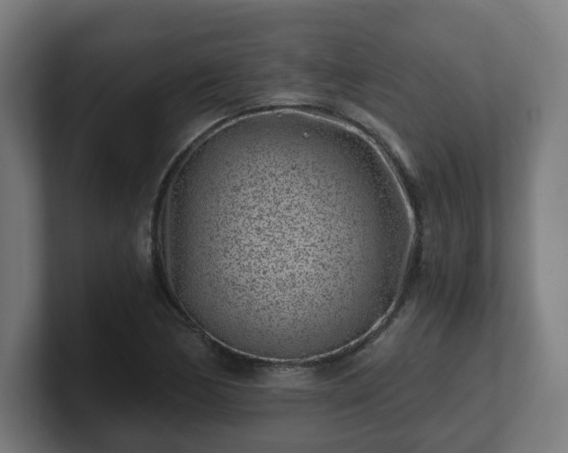 X0000101651170200807171247