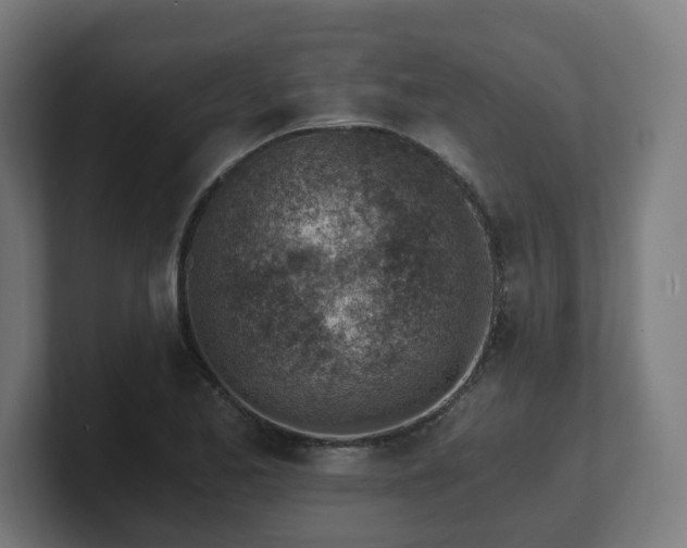 X0000101651173200807171247