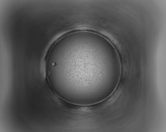 X0000101651175200807171247