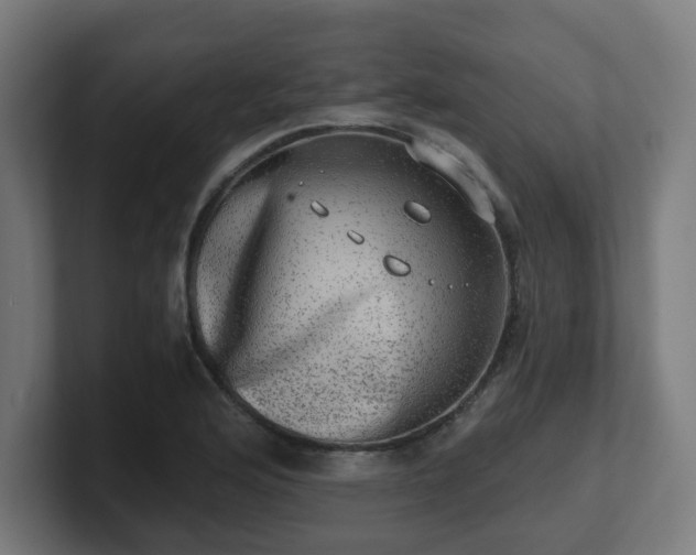 X0000101651176200807171247