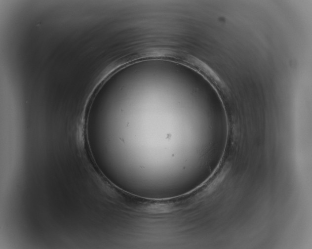 X0000101651178200807171247