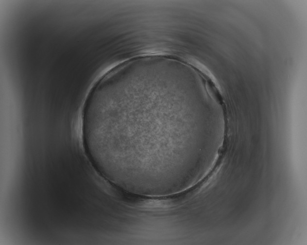 X0000101651179200807171247