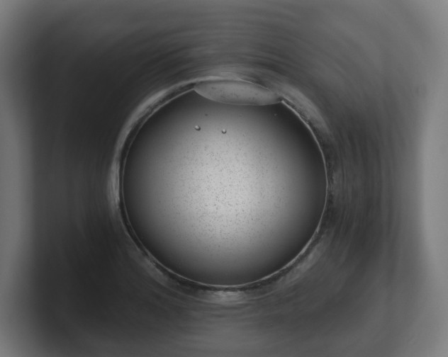 X0000101651180200807171247