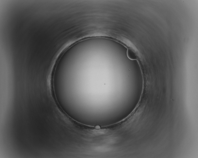 X0000101651181200807171247