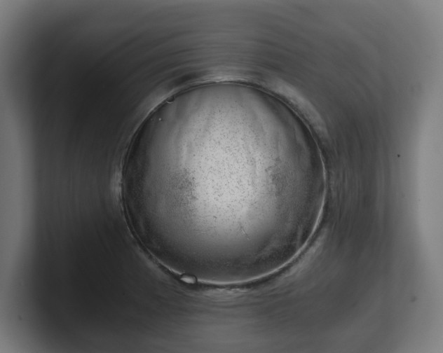 X0000101651185200807171247