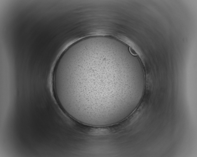 X0000101651187200807171247