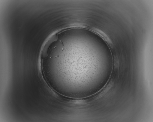 X0000101651188200807171247