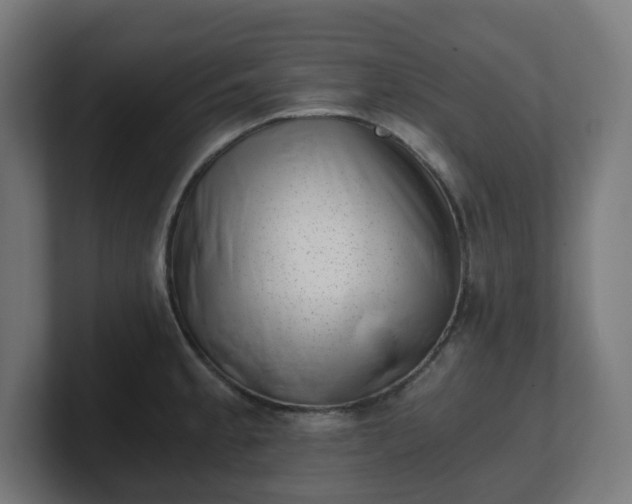 X0000101651189200807171247