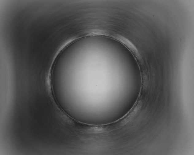 X0000101651190200807171247