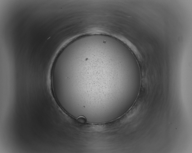 X0000101651191200807171247