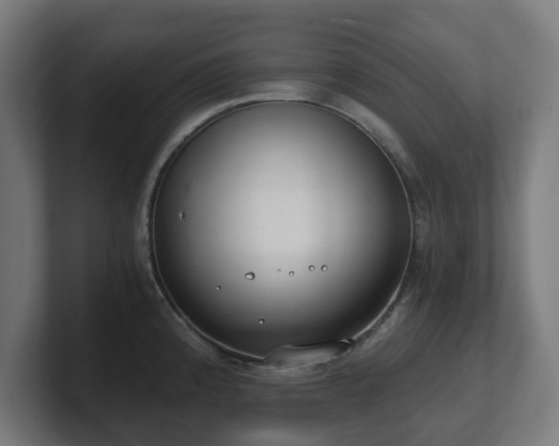 X0000101651192200807171247