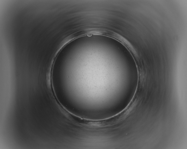 X0000101651194200807171247