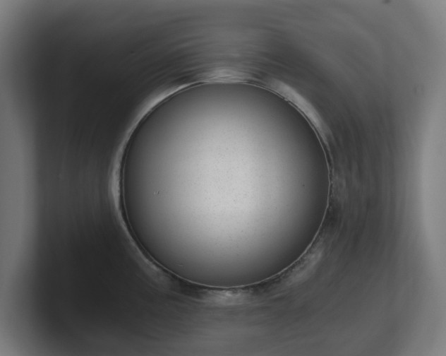 X0000101651195200807171246