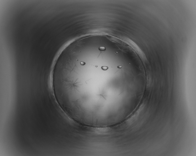 X0000101651196200807171246