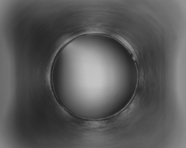 X0000101651197200807171246