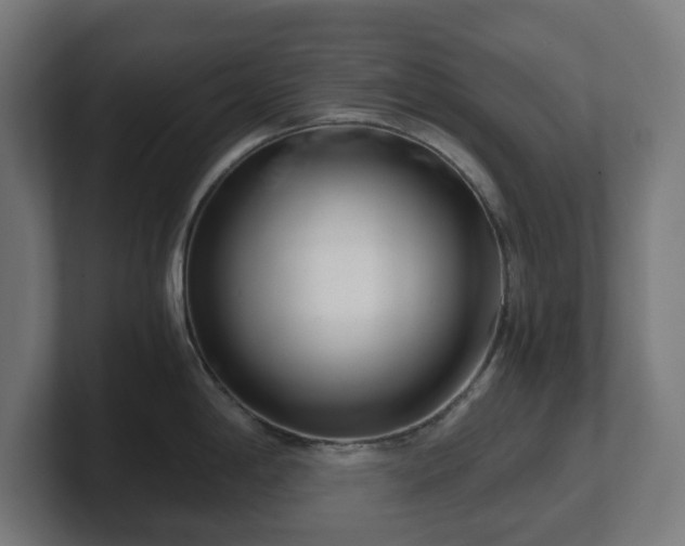 X0000101651198200807171246