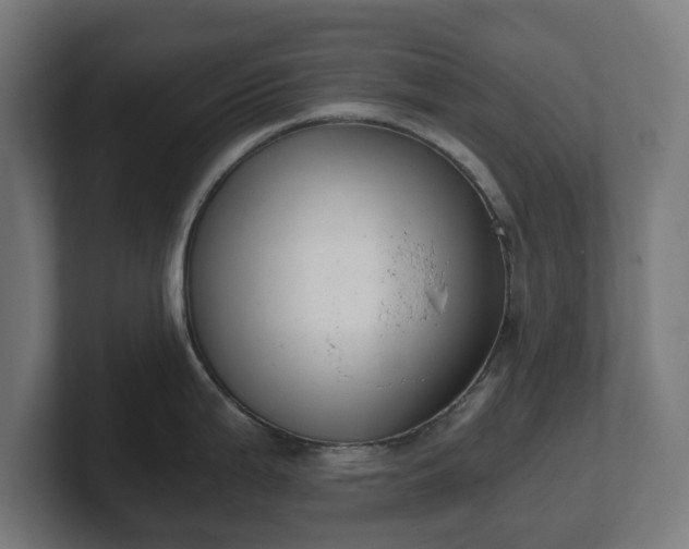 X0000101651199200807171246