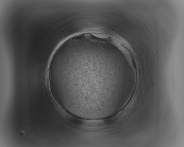 X0000101651200200807171246