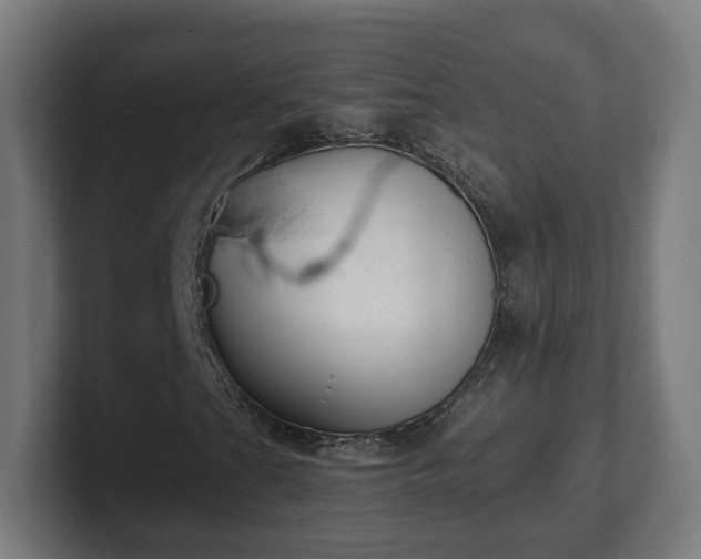 X0000101651201200807171246