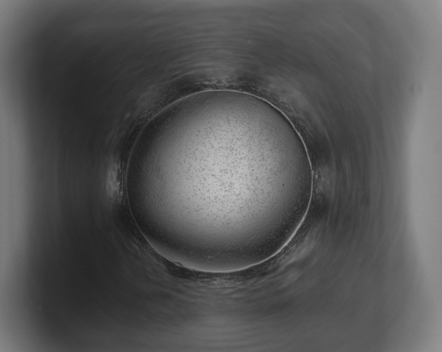 X0000101651202200807171246