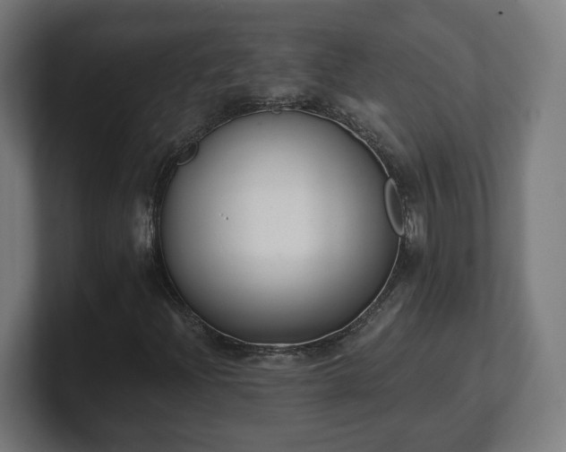 X0000101651204200807171246